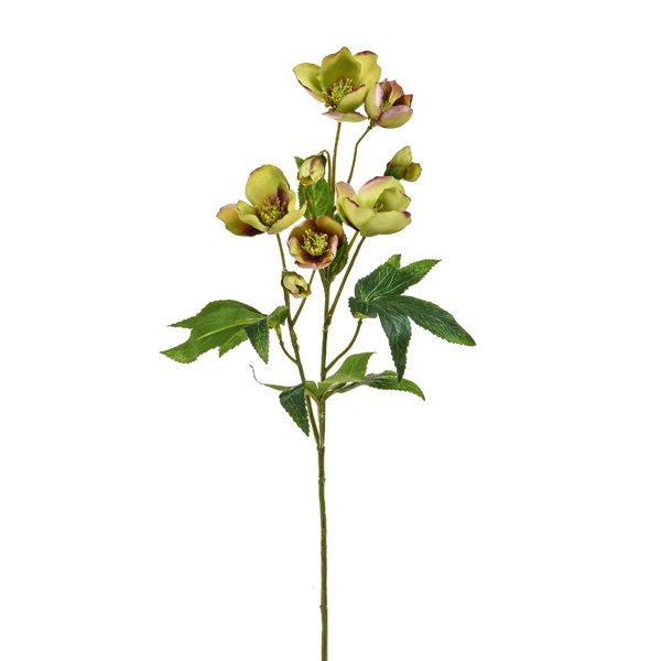 Faux Green Burgundy 55cm Helleborus Stem