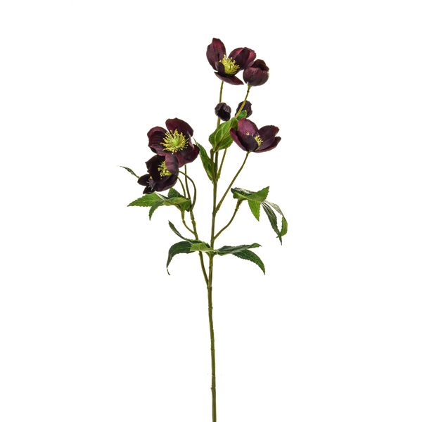 Faux Burgundy Helleborus 55cm Floral Stem