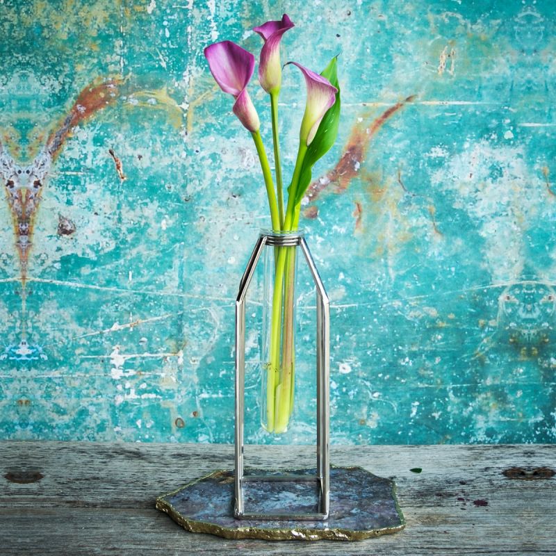 Single Oversized Test Tube Vase with Silver Stand