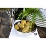 Set of Six Mixed Olive Picks & Holder | PRE-ORDER - DUE MID SEPTEMBER