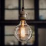 Extra Large Globe Long Filament LED Bulb