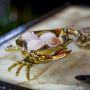 Gold Finish Crab Dish