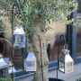 Three Mini Square Tea Light Lanterns & Black Matte Stakes Bundle | MULTI-BUY 