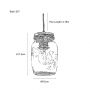 Single Preserve Jar Pendant Light 