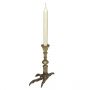 Claw Candle Holder - Brass Finish