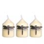 Set Of Three Nickel Dragonfly Candle Pins