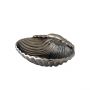 Nickel Finish Shell Dish - Small | PRE-ORDER - DUE EARLY SEPTEMBER