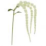 Faux White 107cm Amaranthus Twig  