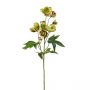 Faux Green Burgundy 55cm Helleborus Stem