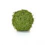 Faux Topiary Ball Moss - Twig Green 25cm