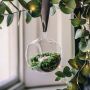 Hanging Glass Tea Light Holder 