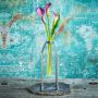 Single Oversized Test Tube Vase with Silver Stand