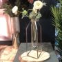 Single Oversized Test Tube Vase with Silver Stand