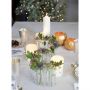 S-Shaped Test Tube Table Vase 